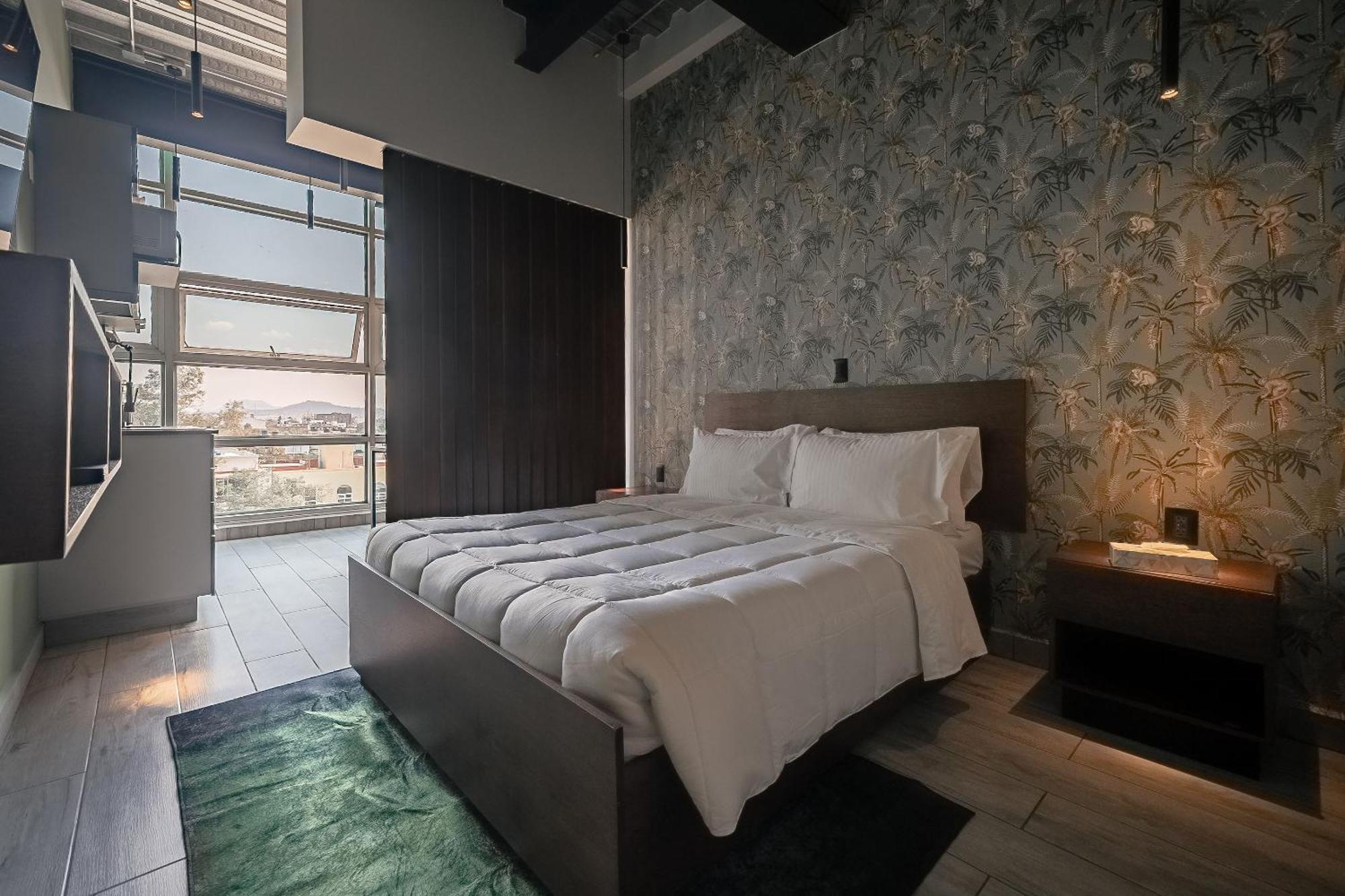 The Jungle Loft Tropical Comfort In A Centric Location With Kitchen Mexico By Eksteriør billede